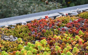 the cost of Nolton green roof installation