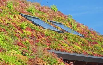 Nolton living roof systems