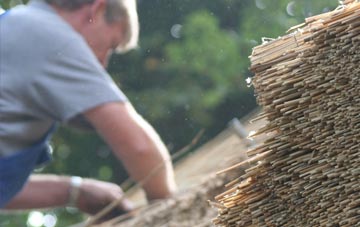 professional Nolton thatchers