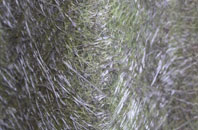 Nolton fibreglass roof work