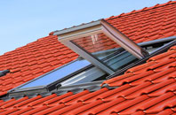 Nolton roof window